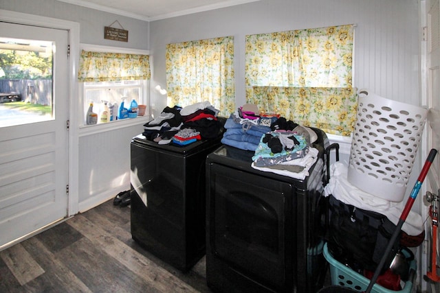 laundry area featuring dark wood-style floors, ornamental molding, washer and dryer, and laundry area