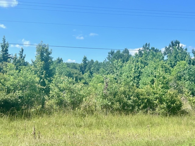0 W Fm 82, Kirbyville, TX 75956 - photo 4