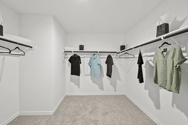 walk in closet featuring carpet floors