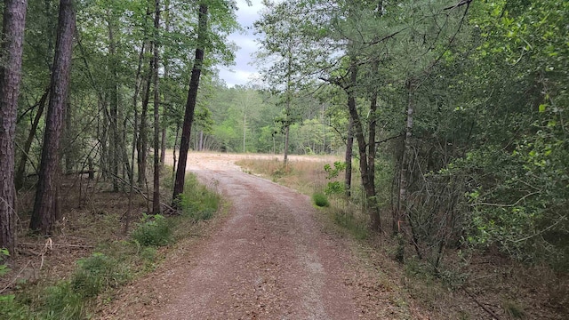 9B Old Nona, Kountze TX, 77625 land for sale