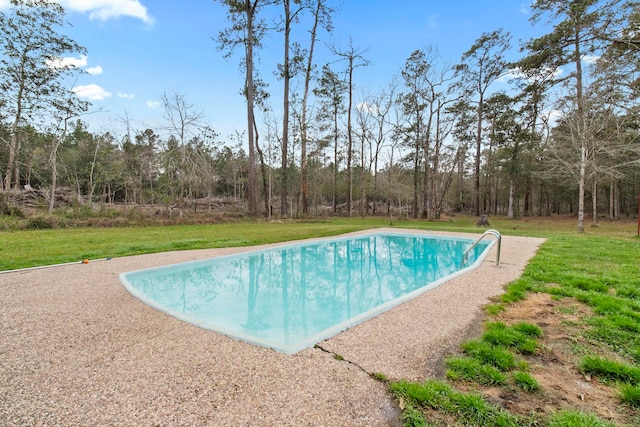 pool with a lawn