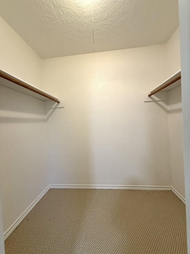 175 Princeton Pl, Vidor, TX 77662 - spacious closet with carpet floors
