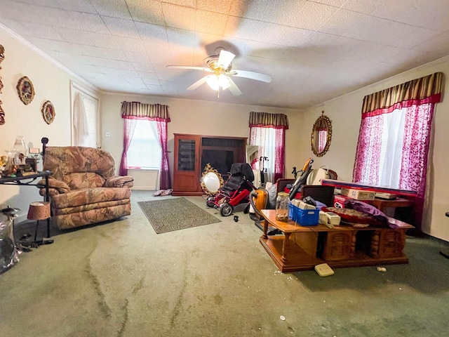 living area with ornamental molding, a ceiling fan, and carpet floors