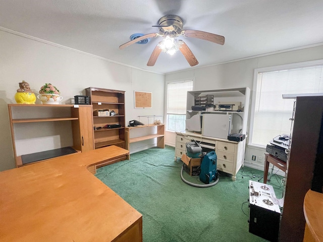carpeted office space with ceiling fan and crown molding