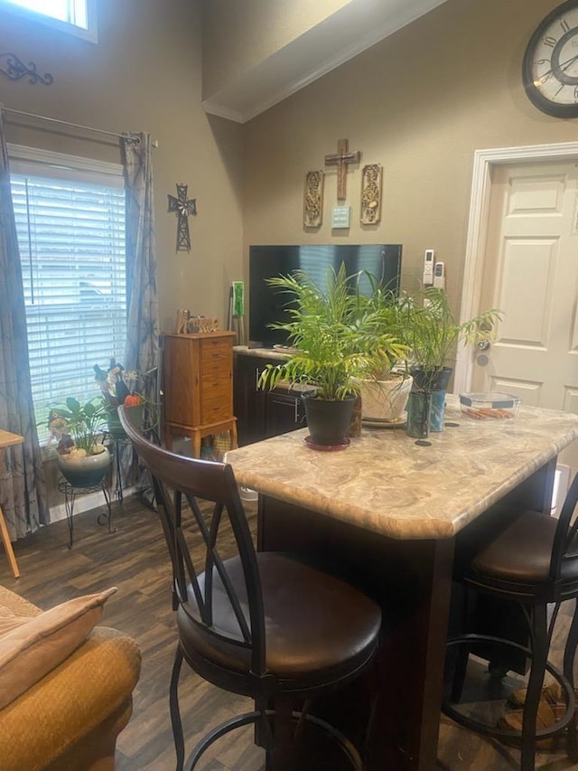 dining room with dark hardwood / wood-style floors