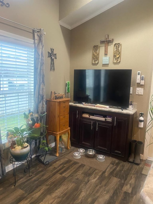 living room with dark hardwood / wood-style floors and ornamental molding