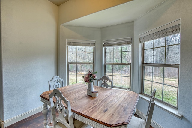 dining room featuring a healthy amount of sunlight