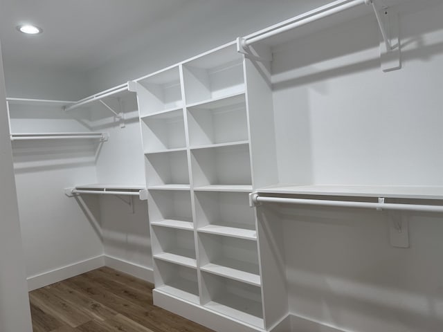 spacious closet with dark wood-type flooring