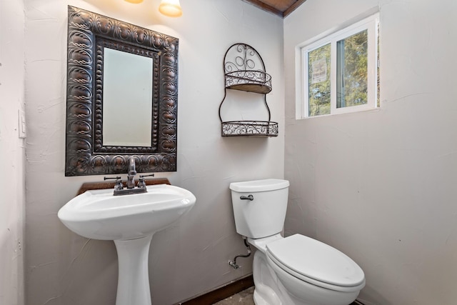 bathroom featuring sink and toilet