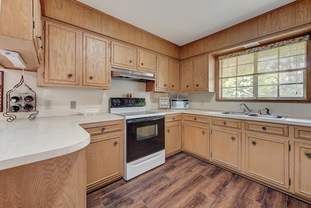 kitchen featuring white electric range, dark hardwood / wood-style floors, light brown cabinetry, and sink