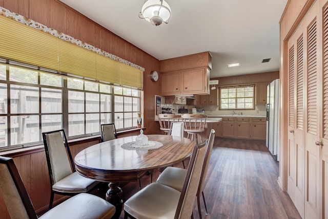 dining area featuring plenty of natural light, sink, and dark wood-type flooring