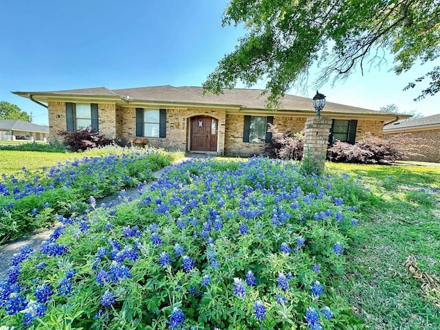 single story home featuring a front yard