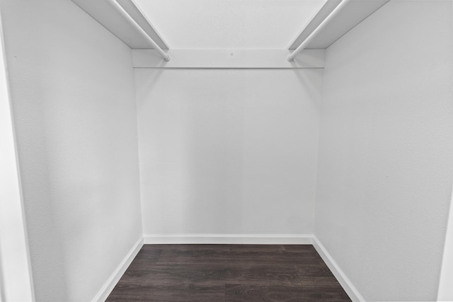 spacious closet with dark hardwood / wood-style floors