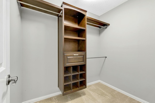 walk in closet featuring light carpet