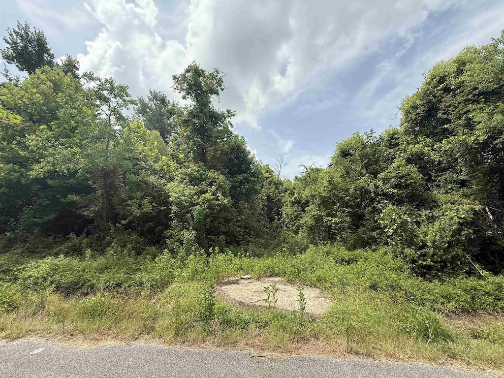 1601 W Curtis Ave, Orange, TX 77630 - photo 1