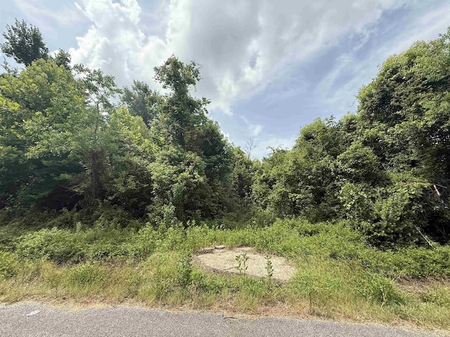 1601 W Curtis Ave, Orange, TX 77630 - photo 1