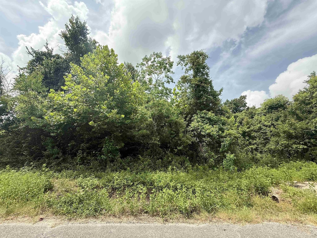 1601 W Curtis Ave, Orange, TX 77630 - photo 2
