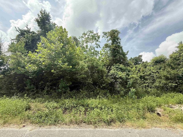 1601 W Curtis Ave, Orange, TX 77630 - photo 2
