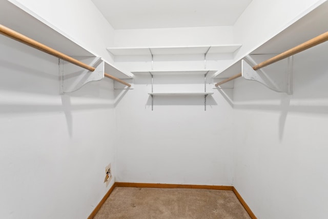 6355 Arrowhead Dr, Beaumont, TX 77707 - spacious closet with light carpet