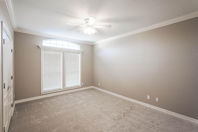 spare room featuring light carpet, ceiling fan, and ornamental molding