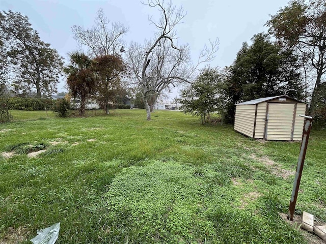 view of yard with a shed