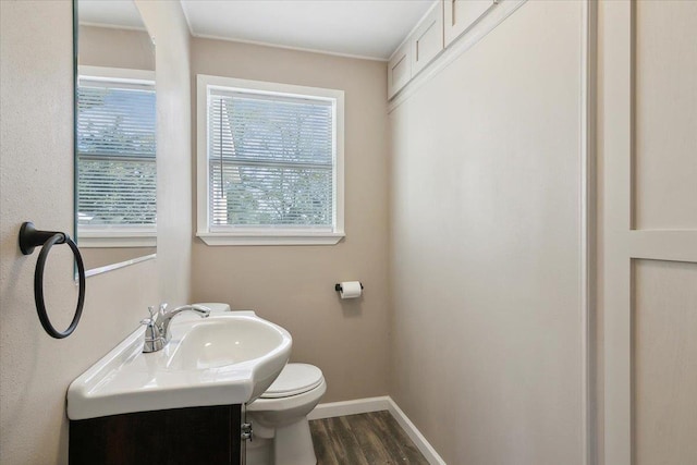 bathroom featuring vanity, wood-type flooring, and toilet