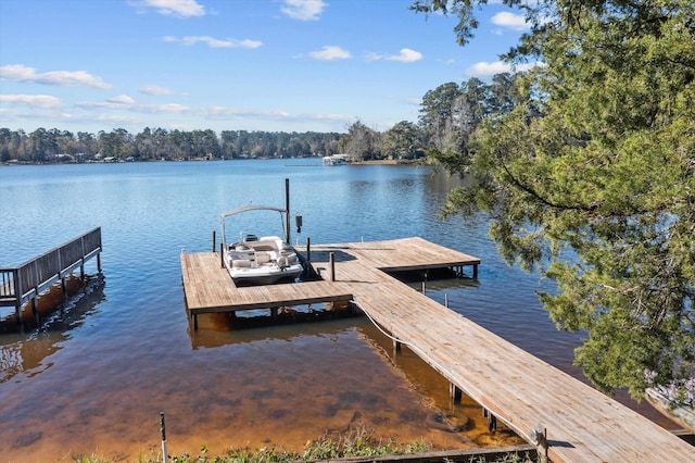 dock area featuring a water view