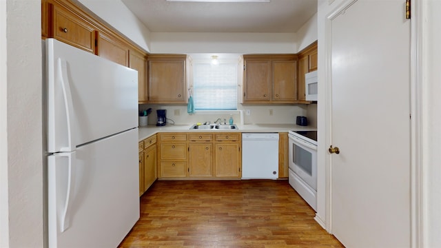 1005 Black Walnut Ln, Jasper, TX 75951 - kitchen with light wood-type flooring, a sink, white appliances, and light countertops