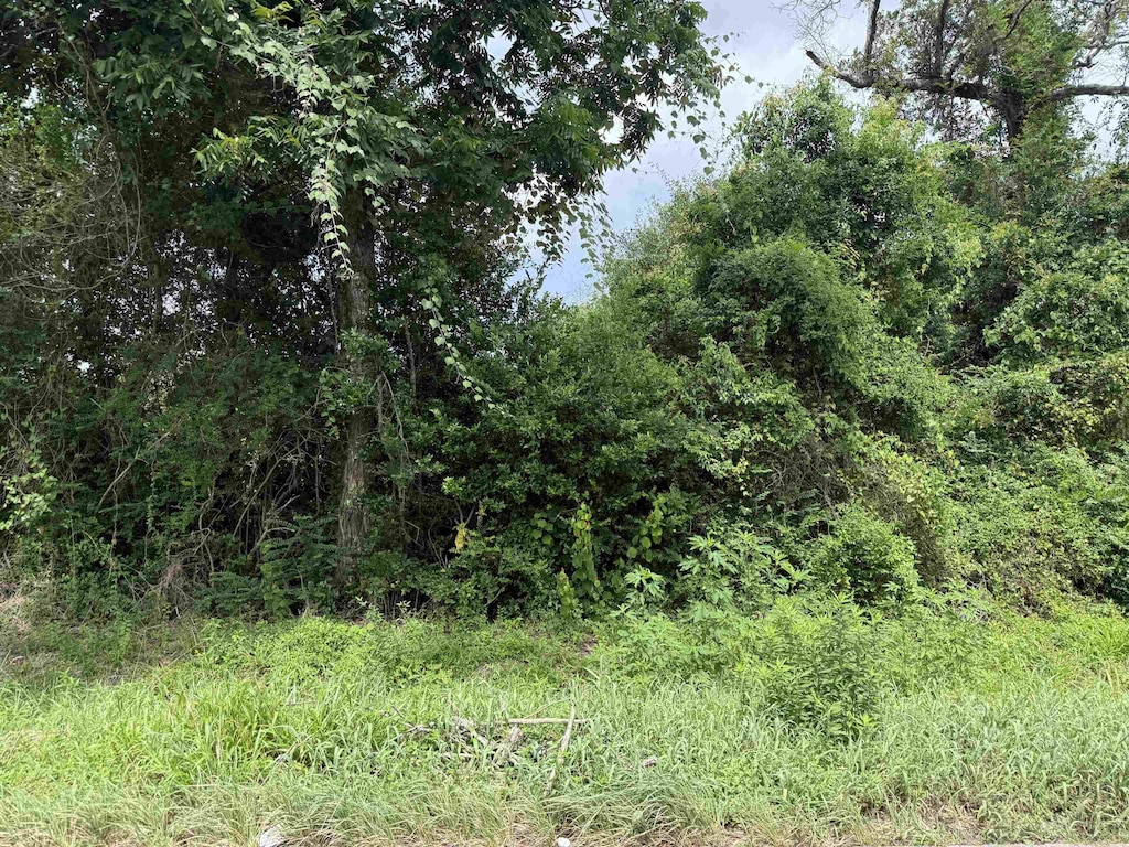 1103 14 Th St, Orange, TX 77630 - photo 1