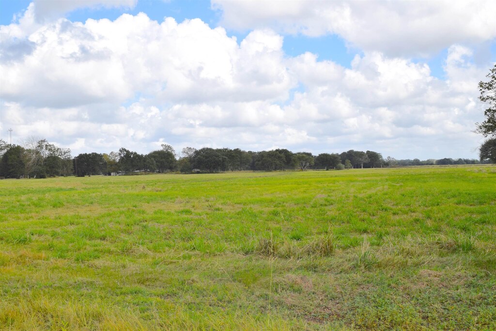 16295 Wise Rd, Hamshire, TX 77622 - photo 1