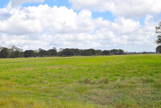 16295 Wise Rd, Hamshire, TX 77622 - photo 1