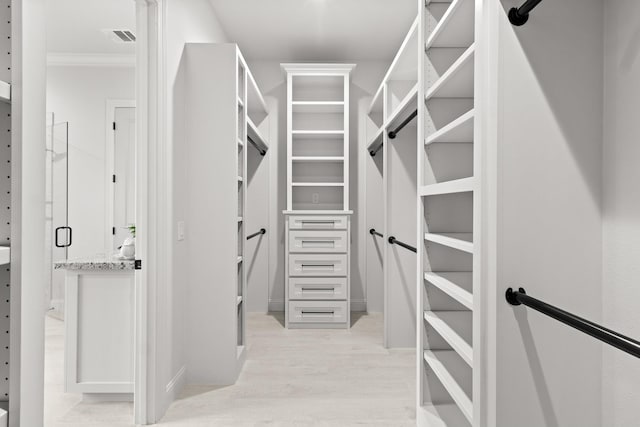 walk in closet with visible vents and light wood-style flooring