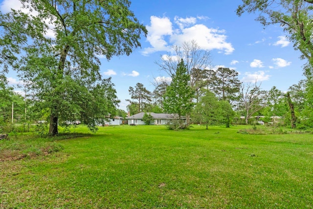1110 S Lakeside St, Vidor, TX 77662 - photo 13