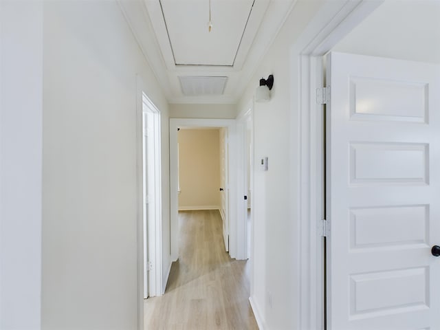 hallway with ornamental molding and light hardwood / wood-style floors