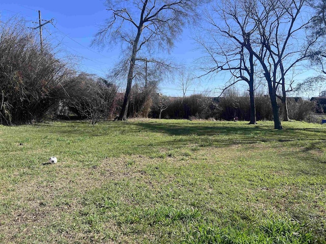 5055 Sunbury Dr, Beaumont, TX 77707 - view of green lawn