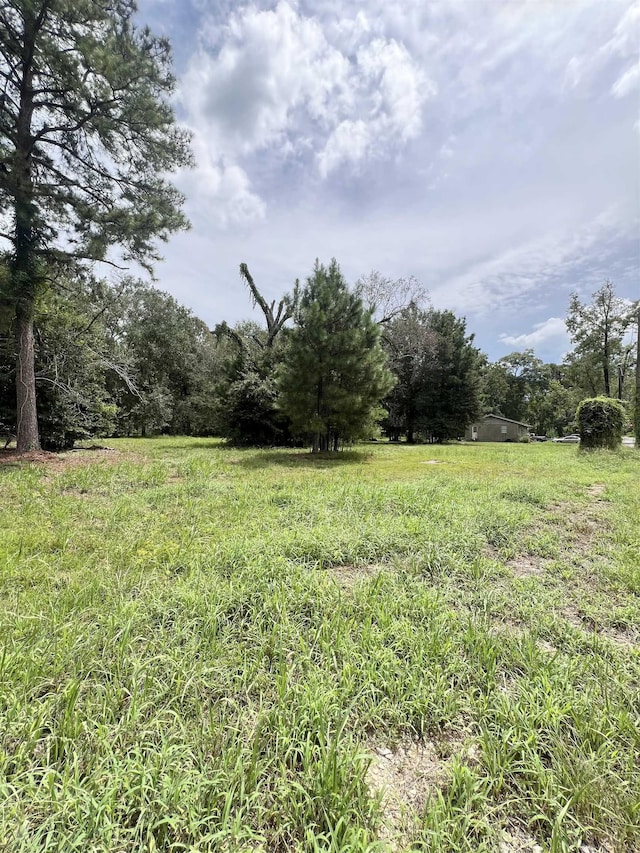 view of yard with a rural view