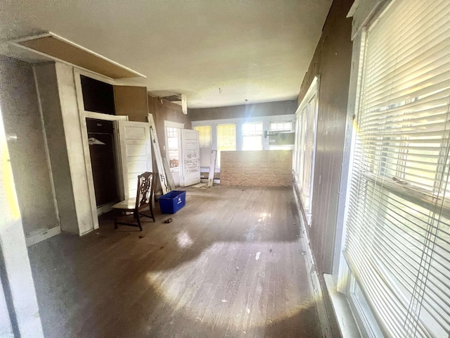 hallway with hardwood / wood-style flooring and a wealth of natural light