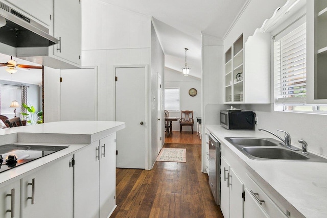 kitchen with dark hardwood / wood-style flooring, stainless steel appliances, vaulted ceiling, sink, and white cabinetry