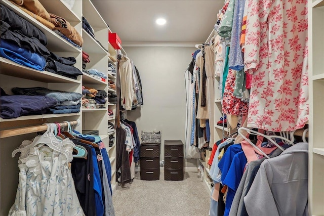 spacious closet with carpet flooring