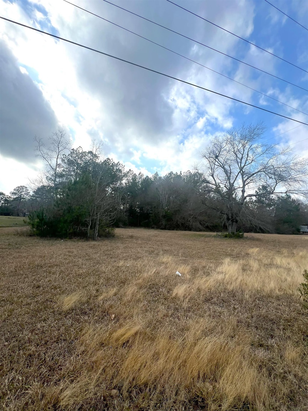 000 Fm 92, Silsbee, TX 77656