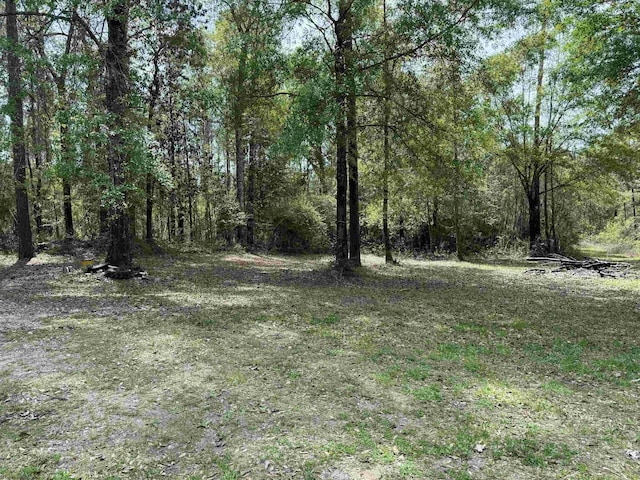 10586 Holland Rd, Kountze TX, 77625 land for sale