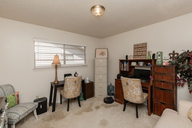 office space with carpet flooring and a textured ceiling