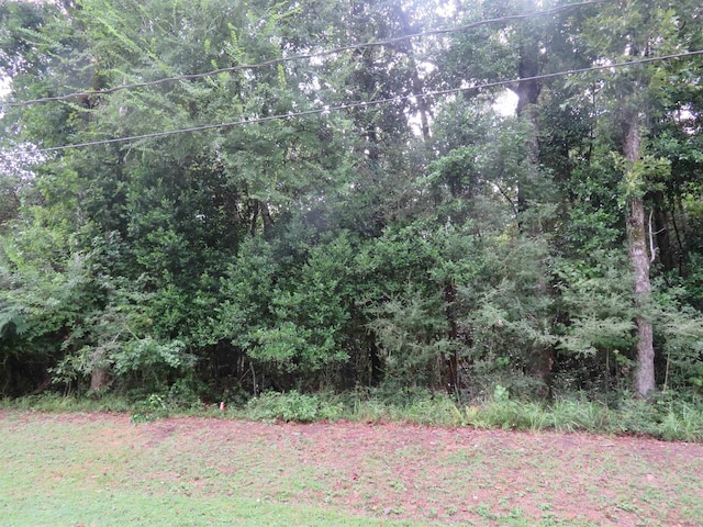 Listing photo 2 for LOT10/BLOCK103 Hornbeam Dr, Village Mills TX 77663