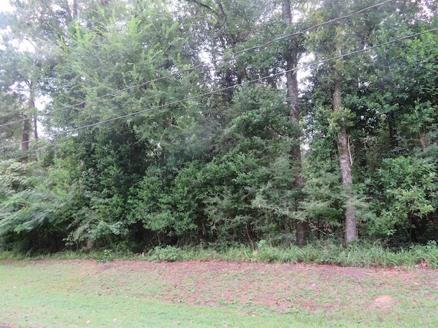 LOT10/BLOCK103 Hornbeam Dr, Village Mills TX, 77663 land for sale