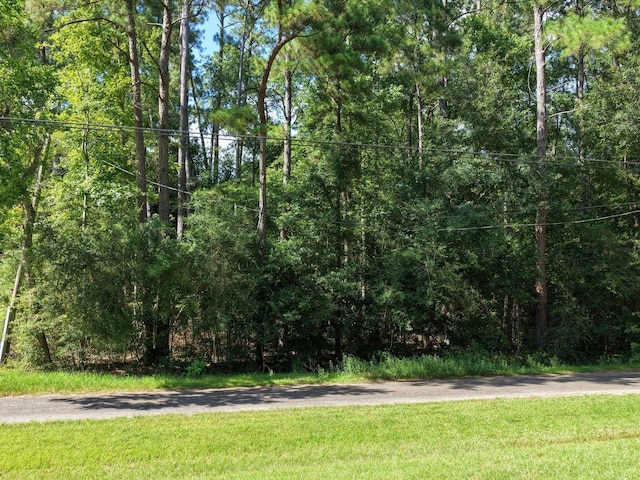 129 Marilyn St, Lumberton, TX 77657 - photo 25