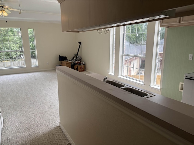hall with baseboards, ornamental molding, a sink, and light colored carpet