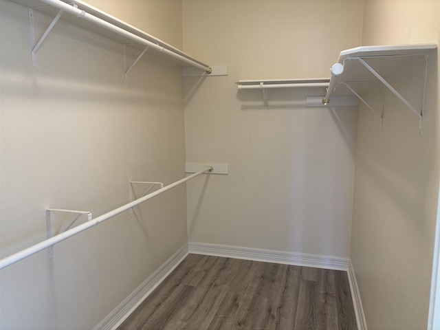 spacious closet with dark wood-style floors