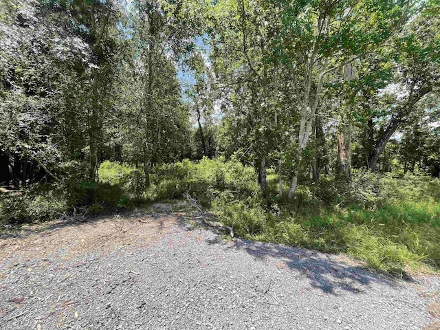 000 Pineshadows, Sour Lake TX, 77659 land for sale