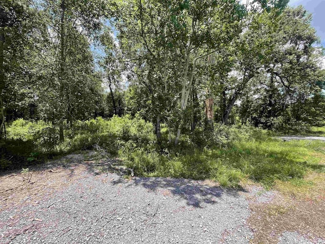 Listing photo 3 for 000 Pineshadows, Sour Lake TX 77659