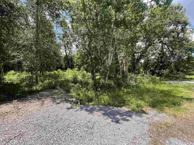 Listing photo 3 for 000 Pineshadows, Sour Lake TX 77659